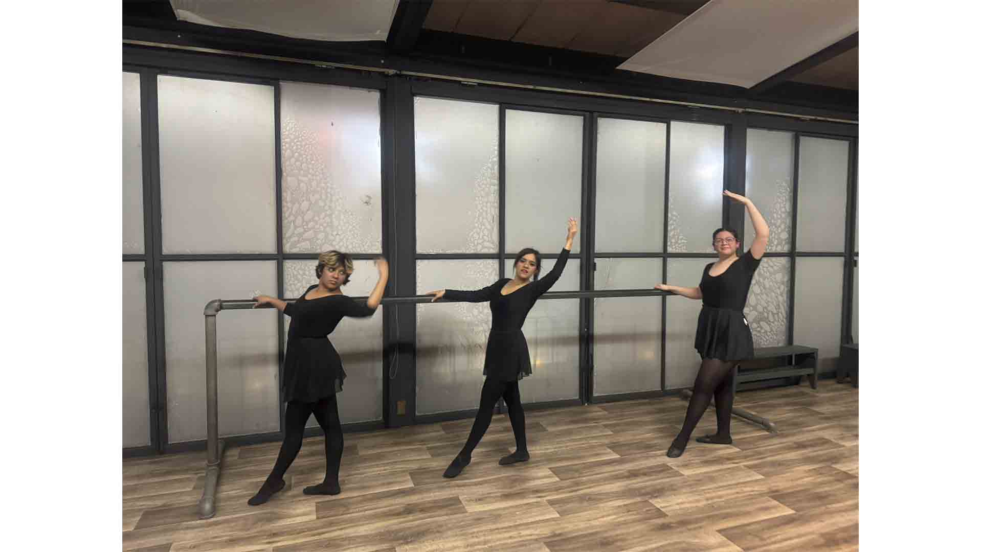 ballet galería _0021_IMG_0820